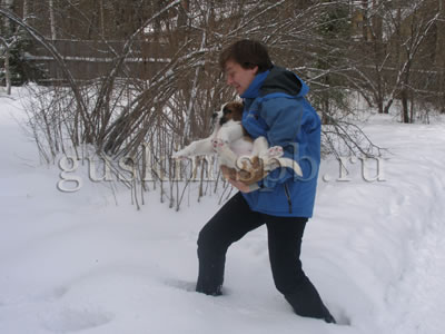 29 января 2006. Мы нарочно заносили Винса в снег...