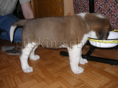 8 января 2006. Когда Винс был маленький, он во время еды надувался на глазах.