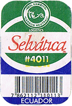 Cavendish Extra Large