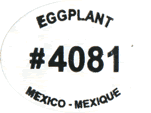 Eggplant