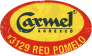 Pomelo Red Large