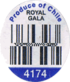 Royal Gala Large
