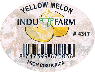Melon Canary/Honeydew Yellow<br>Large