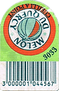 Melon Charentais Small
