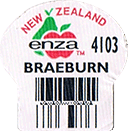 Braeburn Large