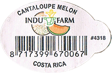 Melon Cantaloupe/Muskmelon<br>Small East