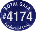 Royal Gala Large