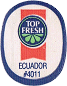 Cavendish Extra Large