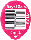 Royal Gala Medium