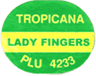 Lady Finger/Sugar/<br>Manzano/Apple