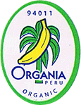 Cavendish<br>Extra Large Organic