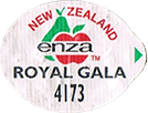 Royal Gala Medium