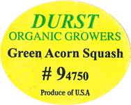 Acorn/Table Queen Organic