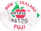 Fuji Medium