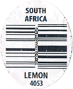 Lemon Large