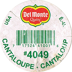 Melon Rockmelon/Canteloupe Medium