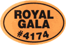 Royal Gala Large