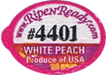 Peach<br>White Fleshed Large