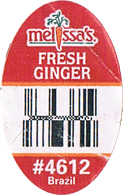 Ginger Regular