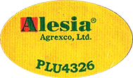 Melon Galia