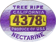 Nectarine<br>Tree Ripened Large
