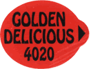 Golden Delicious<br>Large West