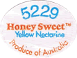 Nectarine Yellow Flesh<br>- Sub Acid Medium