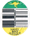 Orange Navel<br>Large West