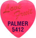 Palmer Large