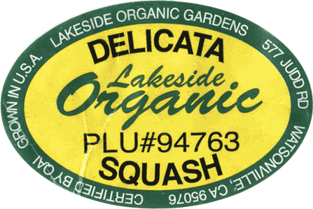 Delicata/Sweet Potato Organic