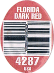 Grapefruit Deep Red Large East