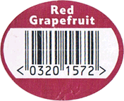 Grapefruit