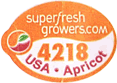 Apricots Medium