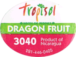 Pitahaya