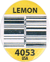 Lemon Large