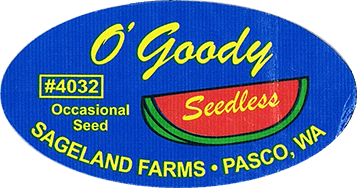 Watermelon Regular, Seedless