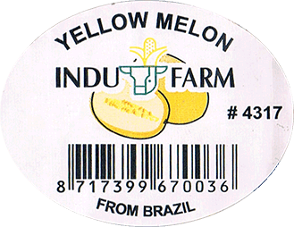 Melon Canary/Honeydew Yellow<br>Large