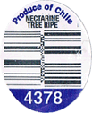Nectarine<br>Tree Ripened Large