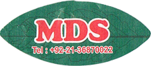 Mandarin