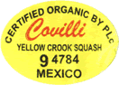 Yellow Crookneck Organic