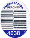 Peach<br>Yellow Large West