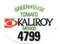 Greenhouse/Hydroponic Large