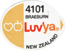 Braeburn Medium