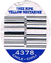 Nectarine<br>Tree Ripened Large