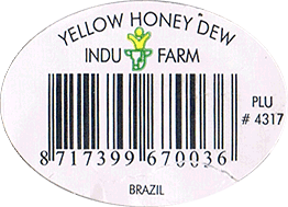 Melon Canary/Honeydew Yellow<br>Large