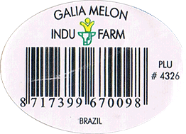 Melon Galia