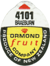 Braeburn Medium