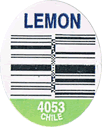 Lemon Large