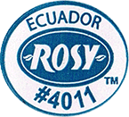 Cavendish Extra Large