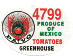 Greenhouse/Hydroponic Large